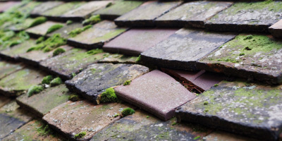 Witcham roof repair costs